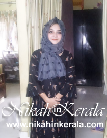 Pookkottumpadam Muslim Brides profile 536465