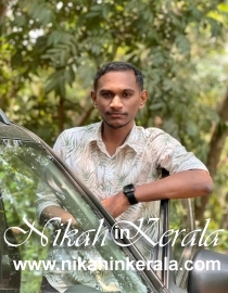 Working country based  Muslim Brides profile 463718