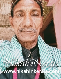 Kandalloor Muslim Brides profile 335422
