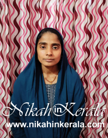 Pandikkad Muslim Brides profile 446954