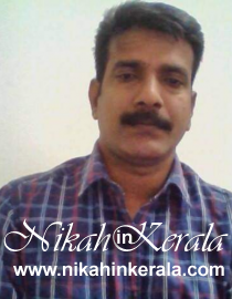 Job based  Muslim Brides profile 353848
