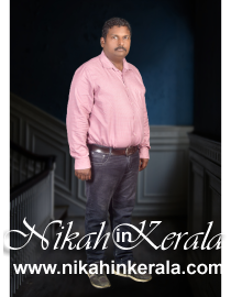 Education based  Muslim Brides profile 344223
