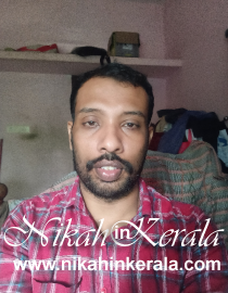 Animator Muslim Brides profile 537955