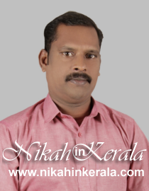 Tirur Muslim Grooms profile 388064