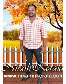 Panavally Muslim Marriage Bureau profile 397877