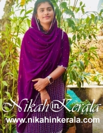 Job based  Muslim Grooms profile 501501