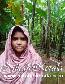 Location based  Muslim Brides profile 331357