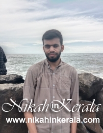 Sect based  Muslim Brides profile 341736