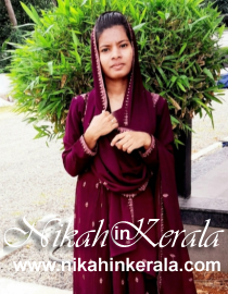 Job based  Muslim Brides profile 511086