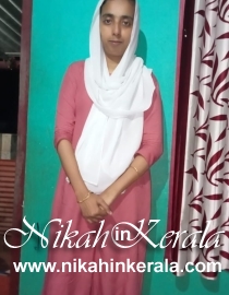 Education based  Muslim Matrimony profile 472730