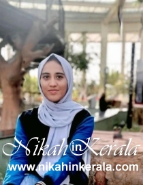 Software Developer / Programmer Muslim Grooms profile 453609