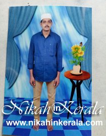 Marital Status based  Muslim Brides profile 366401