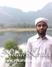 Working country based  Muslim Brides profile 397982