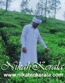 Sect based  Muslim Grooms profile 409793