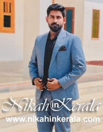 Animator Muslim Brides profile 560631