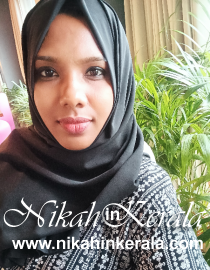 Bachelors-Management Muslim Brides profile 438437