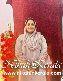 Education based  Muslim Brides profile 548197