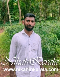 Working country based  Muslim Brides profile 282247