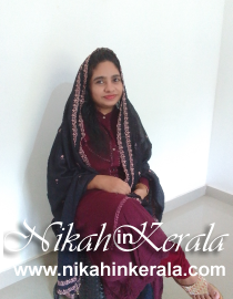 Media Professional Muslim Brides profile 435835