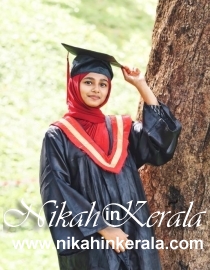 Working country based  Muslim Brides profile 491101