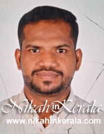 Education based  Muslim Brides profile 504584