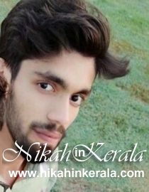 Marital Status based  Muslim Brides profile 281333