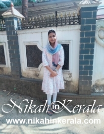 Job based  Muslim Brides profile 536009