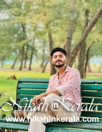 Working country based  Muslim Brides profile 551665