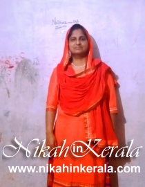 Farming Muslim Brides profile 540172
