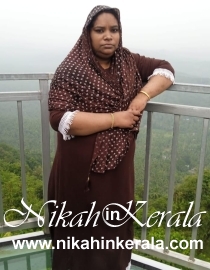 Job based  Muslim Brides profile 350102