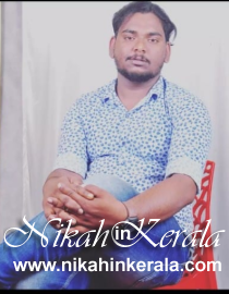 Job based  Muslim Brides profile 359085