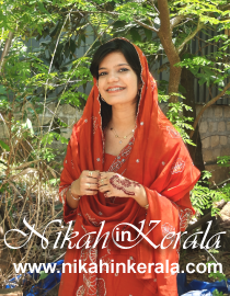 Job based  Muslim Brides profile 558001