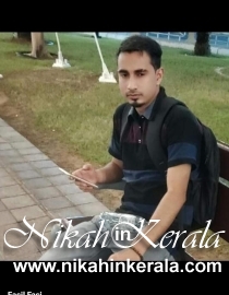 Job based  Muslim Brides profile 517083