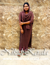 Media Professional Muslim Brides profile 451603