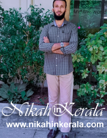Kuttikkattoor Muslim Brides profile 385294