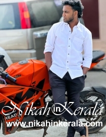 Job based  Muslim Brides profile 528665