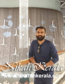 Working country based  Muslim Brides profile 468757