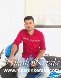Job based  Muslim Brides profile 342199