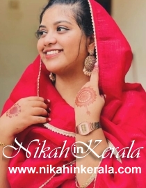 Marital Status based  Muslim Brides profile 541293