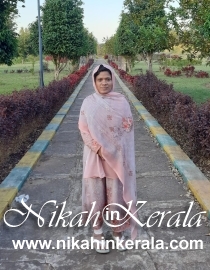 Job based  Muslim Brides profile 395113