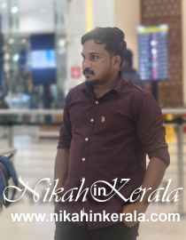 Job based  Muslim Grooms profile 528209