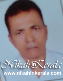 Sect based  Muslim Brides profile 494809