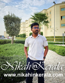 Bachelors-Management Muslim Brides profile 560420
