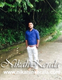 Animator Muslim Brides profile 534945