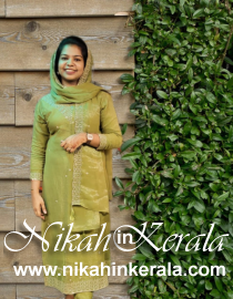 Software Developer / Programmer Muslim Grooms profile 495889