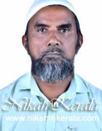 Veterinary Doctor Muslim Brides profile 459488