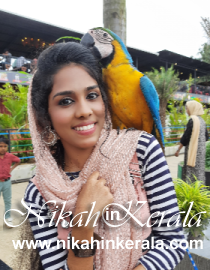 Thalakkad Muslim Brides profile 458509