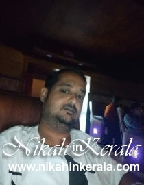 Education based  Muslim Marriage Bureau profile 383679