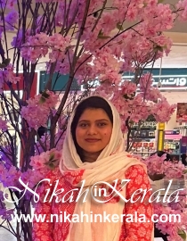 Qatar Muslim Brides profile 528845