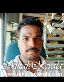Education based  Muslim Brides profile 487375